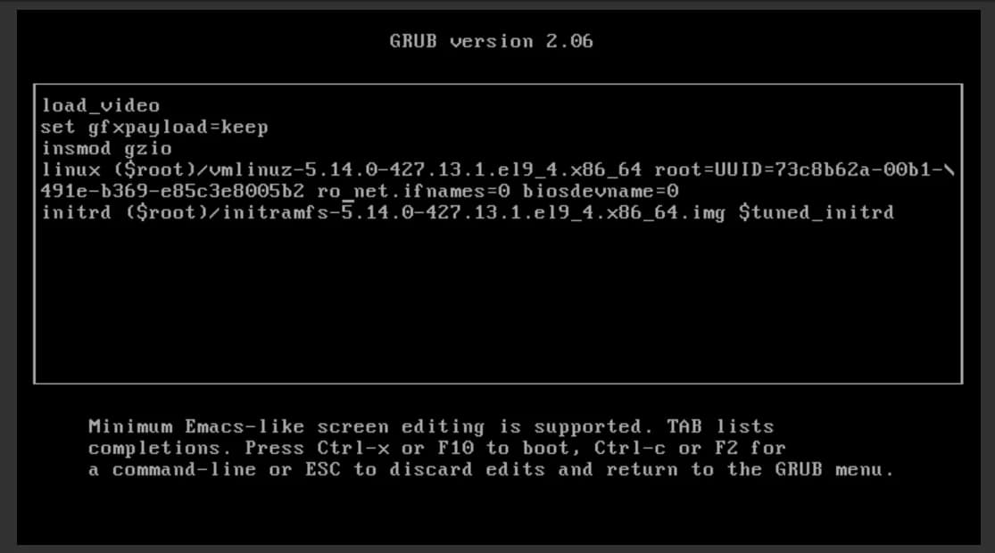 GRUB 編集画面で resume パラメーターと rhgb quiet を削除した後の linux 行